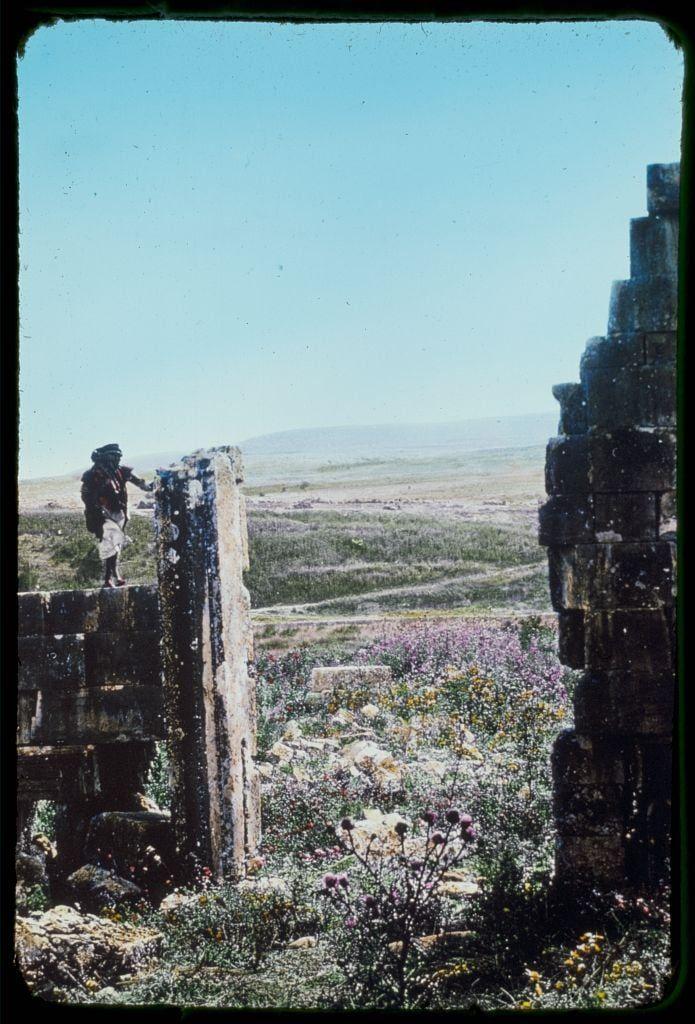 The image captures a rugged, outdoor scene featuring ancient ruins in what appears to be an archaeological site. A solitary figure stands on a broken stone pillar amidst the remnants of larger structures made from weathered blocks and stones. The landscape is expansive with open fields that stretch into the distance under a clear blue sky. Vibrant wildflowers add splashes of color, contrasting against the earthy tones of the ruins. In the foreground, there's lush greenery dotted with various flowering plants. This setting evokes historical significance, likely linked to biblical or ancient Near Eastern history given its context and presentation in "Around the Sea of Galilee." The photograph is credited to Matson Photo Service and was part of their collection from 1950-1977.