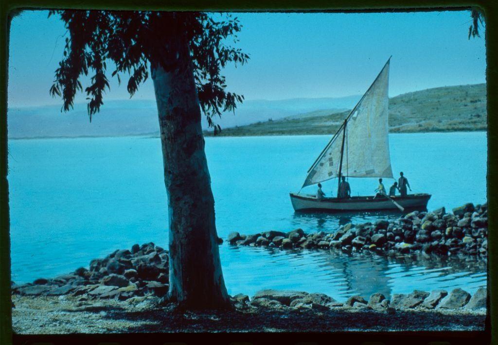A photograph depicting a serene scene by the water, possibly Lake Tiberias or Sea of Galilee. The image shows clear blue waters with rocky shores and lush greenery in the foreground featuring a prominent tree to the left side that partially obscures the view.
In the middle ground, we see an expanse of calm water leading up to a sailboat on the horizon. On this boat are several individuals engaged in sailing activities; they appear small due to the distance from which the photo is taken, emphasizing the vastness and tranquility of their surroundings.
The background features gentle hills or low mountains under a clear blue sky with no visible clouds. The overall color palette consists mainly of blues, greens, earthy tones, and hints of brown on the tree's bark.
There are no discernible human figures in proximity to this person from our perspective; thus, there is no indication of race or gender within this image. This photograph likely belongs to a collection by Matson Photo Service, as noted at the bottom right corner with reference information linking it between 1950 and 1977.
