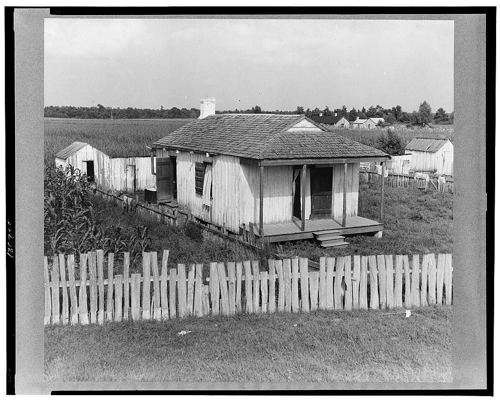 The image depicts a rural scene from the early 20th century featuring an old wooden cabin with weathered siding and a sloped roof. The structure has visible wear, including peeling paint on its white exterior walls. A modest porch extends over part of the front entrance, supported by four sturdy pillars.

A broken down wooden fence runs along one side of the house, indicating that maintenance may have been neglected or resources were scarce at the time. In the background are other outbuildings and structures with a similar rustic design but in more disrepair, hinting at an agrarian lifestyle possibly associated with sugar cane cultivation as mentioned.

The landscape is flat and expansive, suggesting agricultural use for growing crops such as sugarcane, which was prevalent in regions like Bayou La Fourche, Louisiana. The absence of modern infrastructure or transportation implies a time period before widespread access to automobiles or advanced amenities.