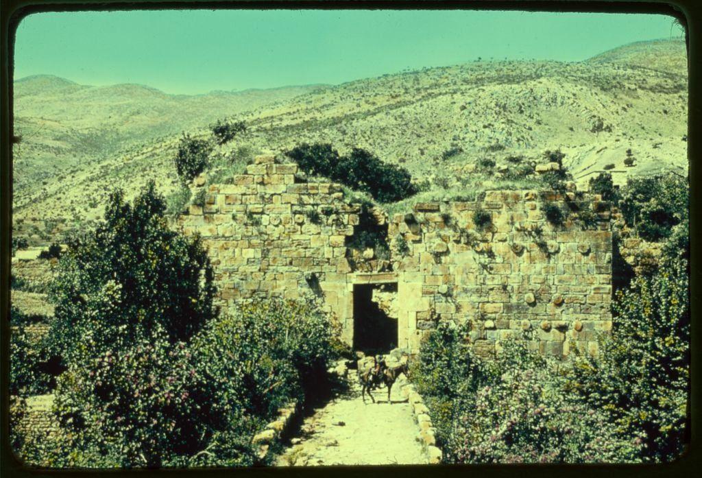 The image shows a scene with an old, dilapidated stone structure that appears to be part of ancient ruins. The building has a large doorway and is constructed from various sizes of weathered stones, some with rounded tops suggesting they may have been cut by hand or through natural processes over time.
In the foreground, there are lush green bushes and flowering plants on either side of what looks like an unpaved path leading into the structure's entrance. A couple of animals, possibly horses or mules, can be seen walking along this pathway towards the doorway.
The background reveals a hilly landscape with sparse vegetation under a clear sky. The overall coloration has greenish hues and hints of yellow-brown tones on the stones, indicating that the image may have been taken in an area where sunlight is abundant and natural colors are well-preserved or enhanced by environmental conditions.
This scene likely represents an archaeological site from ancient times when such stone structures were commonly built for various purposes like living quarters, storage facilities, or religious sites.