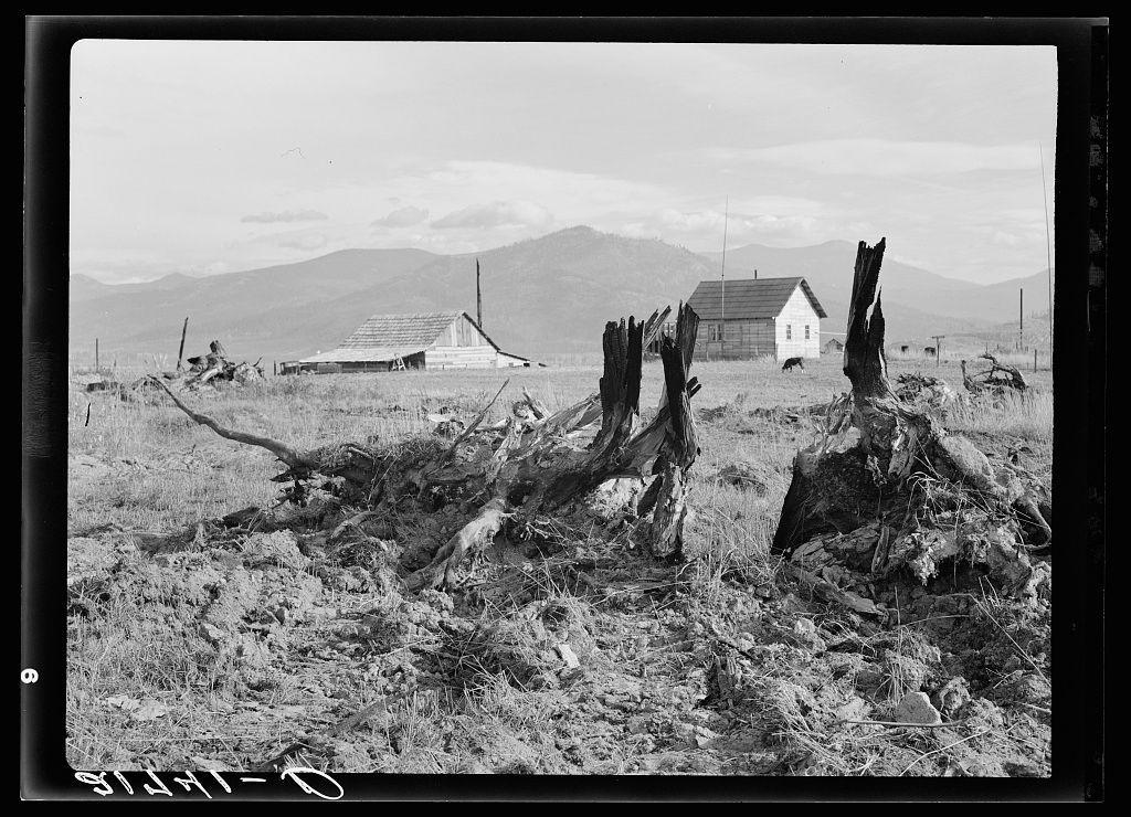 The image is a black and white photograph depicting an abandoned farm in rural Idaho. In the foreground, there are large tree stumps with jagged tops indicating they have been freshly cut down, suggesting recent logging activity or land clearing for agricultural purposes. Beyond these stumps, we see a barren field scattered with dried vegetation.

In the middle ground stands an old wooden farmhouse, its structure weathered and slightly dilapidated. The house has a prominent gable roof with visible shingles, though some appear damaged or missing. To the right of the main building is another smaller outbuilding, possibly for storage purposes. A few utility poles are scattered around the vicinity.

The background features rolling hills under an overcast sky, hinting at cool and humid conditions typical of this region in Idaho's Priest River Valley within Bonner County. The overall atmosphere conveyed by the photograph suggests a sense of abandonment or neglect amidst what appears to be once productive farmland now reduced to rubble and barren land awaiting further development or cultivation.

Additional context provided notes that Dorothea Lange, known for her work documenting rural America during the Great Depression era, captured this scene as part of Evanson's new home project. The photograph hints at a narrative of change in agricultural practices or lifestyle within Ida [...]