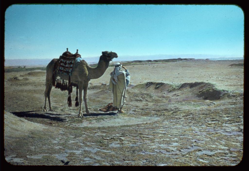 The image captures a desert scene with clear blue skies and sandy terrain. In the foreground, there is a man dressed in traditional white robes, including a head covering known as a keffiyeh or agal, standing next to a camel equipped for travel across such landscapes. The camel wears heavy harnesses adorned with colorful decorations, which suggest it might be used for transportation of goods over long distances.

The individual appears composed and is possibly taking a brief rest during their journey through the desert. There are small mounds scattered around them on the ground, hinting at an arid environment where water sources may be scarce or not readily accessible. The overall atmosphere evokes a sense of solitude and resilience against the harsh conditions typically associated with such regions.

This photograph is attributed to Matson Photo Service, which implies that it could have been taken during one of their expeditions exploring various parts of Africa or other similar environments between 1950 and 1977. The reference "Sinai. Wilderness of Shur." suggests a connection to biblical narratives related to Egypt's Sinai Peninsula, while the quote from Exodus (Exodus 15:22) speaks to themes of liberation and freedom through water that flowed in abundance after crossing the Red Sea.

The dimensions indicated for this slide are two inches by two inches, which is typica [...]