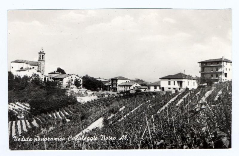 The image depicts a historical black-and-white photograph of an agricultural landscape. In the foreground, rows of grapevines are meticulously arranged in terraces that cascade down the hillside. The middle ground reveals residential structures with varying architectural styles and sizes, including what appears to be a church or religious building with a prominent bell tower on the left side.

The background features more buildings nestled among patches of vegetation. Above this rural scene is an overcast sky suggesting either early morning or late afternoon light conditions. There's no visible movement; it captures stillness typical of agricultural areas during harvest time, hinting at human activity associated with vine cultivation and village life in a bygone era.

The photograph has handwritten text on the lower left side that reads "Veduta panoramica Casaleggio Boiro 46.," indicating its location as Casaleggio Boiro (possibly an Italian region) and possibly referencing it being part of or related to Album At. The overall scene provides a glimpse into rural life, agriculture-centric livelihoods, and the historical architecture that once characterized such communities.