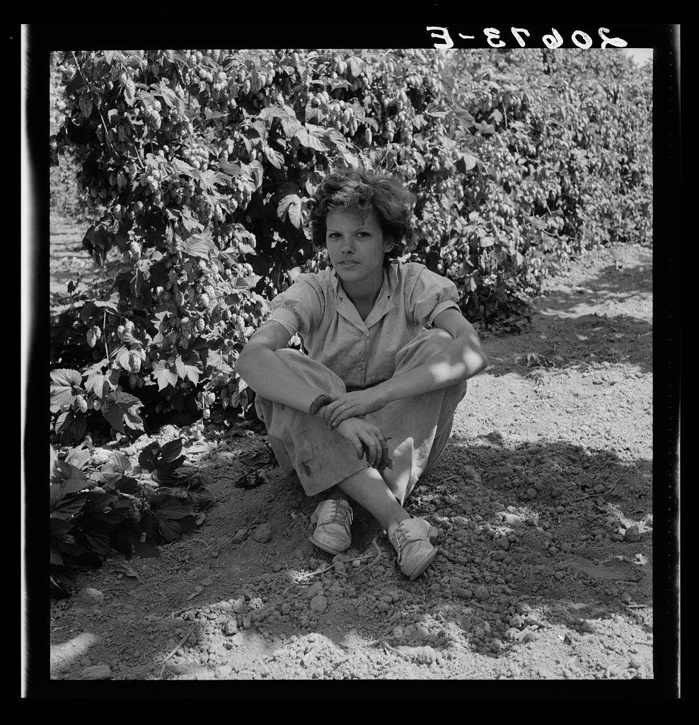 The image is a black and white photograph depicting an individual sitting on the ground surrounded by hop plants. The person appears to be resting, with their legs crossed and arms folded across their body. They are wearing casual clothing consisting of trousers and shoes that seem suitable for outdoor work or activity.

In the background, there's dense vegetation characteristic of hop plants bearing flowers typical of this crop in late summer before harvest. Sunlight filters through the foliage casting shadows on the ground. The setting suggests an agricultural field where hops might be cultivated.

The photograph captures a candid moment likely taken during a break from laborious work, as indicated by the person’s relaxed posture and attire that seems practical for manual tasks. No additional context or identifiable features such as distinguishing marks are visible to provide further background information on this individual's identity or circumstances at the time of photography.