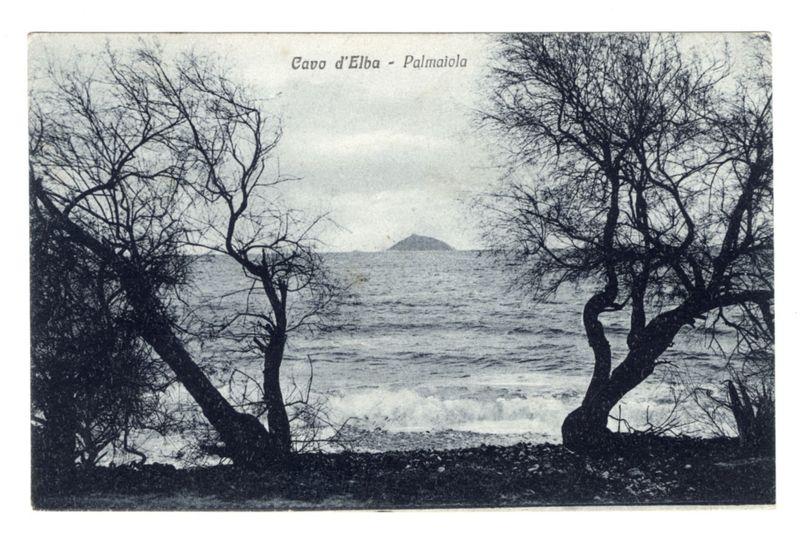 The image displays a black and white photograph of a coastal scene with the title "Cavo d'Elba - Palmaiola" at the top. The focal point is an ocean view where waves are gently breaking near the shore, suggesting a calm day or mild weather conditions.

In the foreground, two bare trees frame the composition on either side, their branches reaching out into the scene like natural arches over the water. These leafless trees appear to be in a dormant state, possibly indicative of winter or early spring when they have not yet begun to bud for the new season. They stand at varying angles and heights but are generally symmetrical around the central point.

In the middle ground, there is visible land on both sides: one side showing more pronounced vegetation with bushes that appear greener than the foreground trees, indicating a different type of plant life or perhaps a microclimate effect closer to shorelines. The other side shows rockier terrain leading down to the water's edge.

The background features an island in the distance labeled "Isola," which translates from Italian as 'island.' This adds depth and context to the image by suggesting that it is part of a larger archipelago, specifically Cavo d'Elba. The horizon line where sea meets sky appears slightly hazy but does not obscure any significant details.

Overall, this photograph has an aged appearance characteristic of vi [...]