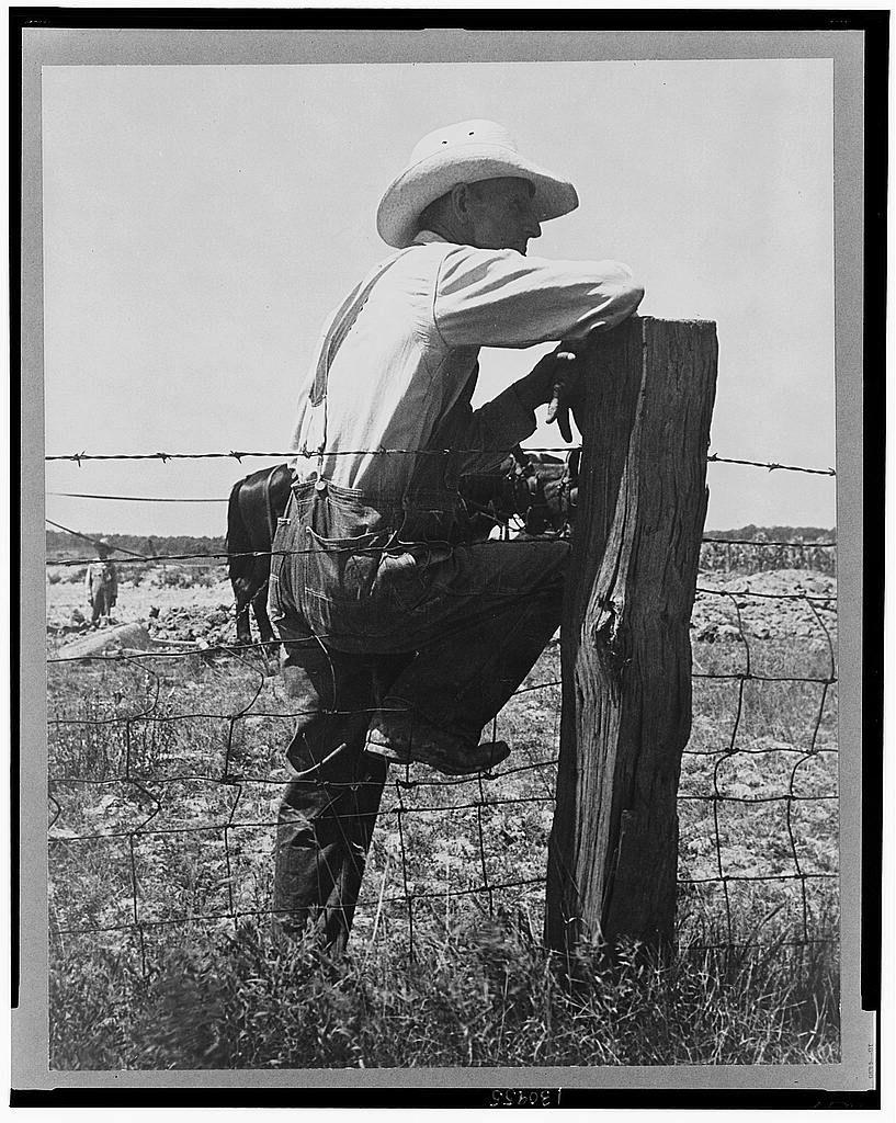 The black and white photograph depicts a man dressed as a cowboy, wearing a wide-brimmed hat, long-sleeved shirt with rolled-up sleeves, dark pants, suspenders, and boots. He is leaning against a wooden post of an electrified fence that stretches across the field behind him. In his right hand, he holds what appears to be a camera or surveying instrument up towards the top of the pole as if taking measurements or documenting something above. His posture suggests contemplation or focus on observing details at some distance from where he is standing. The rural landscape includes sparse vegetation and an open field under a clear sky. There's another figure, possibly another person working in the far background near what looks like livestock. This image captures a moment of solitude or diligent observation within agricultural labor.