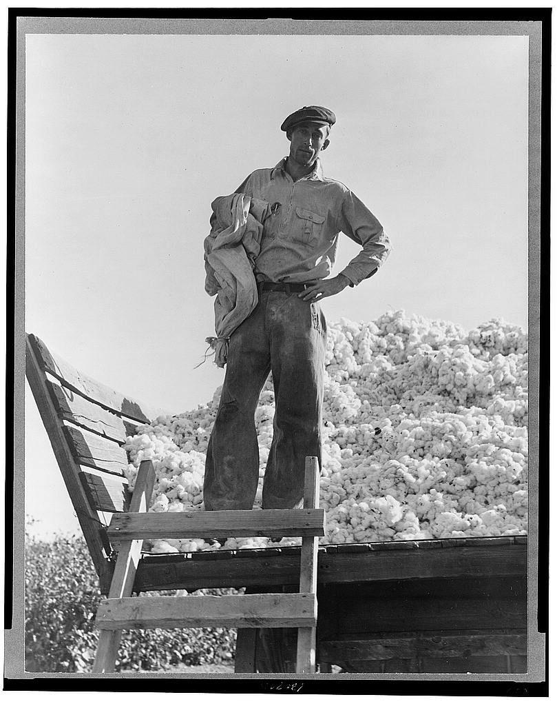 The image is a black and white photograph depicting an individual standing atop what appears to be wooden steps or platform, with one arm resting on the railing. The person wears a light-colored work shirt, dark pants, and a cap, suggesting they are dressed for manual labor. In their grasp, they hold a sack filled with cotton lint; this detail indicates that the setting is likely connected to agricultural activities.

Behind them lies an enormous pile of white cotton fibers extending beyond what can be seen in the frame, conveying abundance or excess production within the context of farming and textile work. The environment around suggests outdoor rural conditions typical for cotton cultivation regions during historical periods when such labor-intensive industries were prevalent.

The person's stance is confident with one hand on hip and knees slightly bent, which may imply pride or satisfaction associated with their task. There are no discernible features that reveal the individual’s gender or race due to clothing style common across multiple demographics at various points in history where cotton farming was significant. The absence of modern elements like machinery hints at a time when manual labor was more prevalent.

It's important to note that this image could be associated with historical social issues such as the exploitation and harsh conditions under which many a [...]