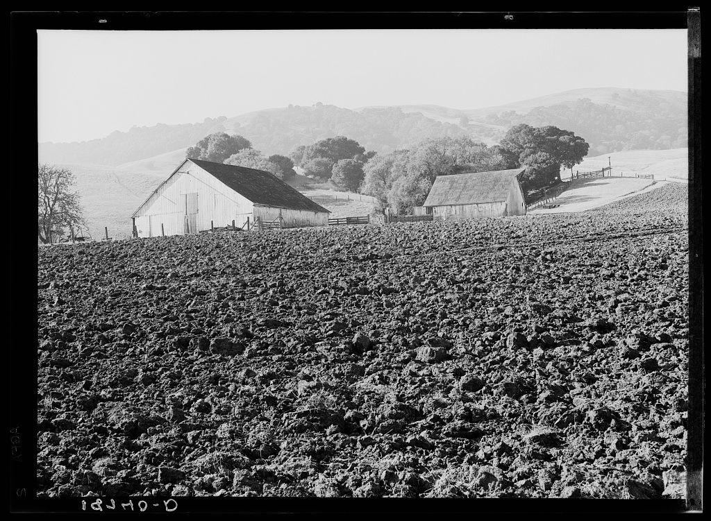 The image depicts a rural scene featuring an expansive, recently tilled agricultural field in the foreground. In the mid-ground and background are several traditional barns with weathered facades, surrounded by wooden fences that demarcate individual parcels of land. The landscape is hilly, suggesting this may be part of larger farmlands or ranches spread across rolling terrain. There's a noticeable lack of any modern farming equipment or machinery visible in the fields, which could indicate either traditional methods are used here or perhaps it’s not currently harvest time.

The photograph appears to have been taken on an overcast day due to its soft lighting and absence of harsh shadows. The black-and-white coloration hints at historical significance, potentially placing this image around a century old given Dorothea Lange's active years as a photographer known for documenting the impacts of poverty during that era.

The watermark "DOR-1948" suggests it might be linked to her work from 1948. Further information about this particular photo can often be found by searching its identifiers or through databases like those maintained at The Bancroft Library, which houses many photographs taken by Dorothea Lange during the Dust Bowl era and related times in California agriculture.

The watermark also indicates that it may have been scanned from a print given "1/8th" is typical [...]
