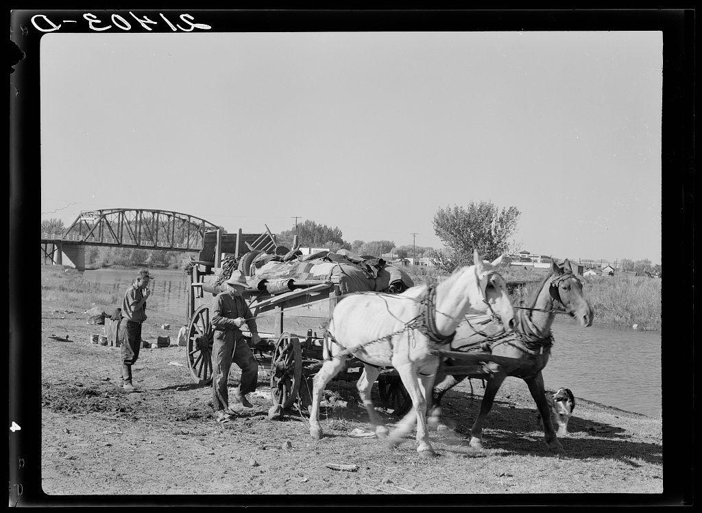 The image is a black and white photograph depicting an outdoor scene with individuals engaged in agricultural labor. In the foreground, two horses are harnessed to what appears to be a farming implement or cart on uneven ground near a body of water.

Two people can be seen working beside the horses; one person seems to be guiding or handling something related to the work at hand while wearing traditional rural attire and a hat with a wide brim. The other individual is standing behind, possibly observing or assisting in some capacity.

In the background, there's an old-looking metal bridge over a body of water which could indicate proximity to a river or canal. Beyond that lies open land extending towards trees and buildings, suggesting this activity might be taking place on farmland.

The photograph carries text at its top corner labeled "C-EDVIS," possibly indicating either the name of the photographer or an internal reference within their collection. The overall scene suggests rural life from a past era with manual labor as part of daily activities in agricultural settings.
