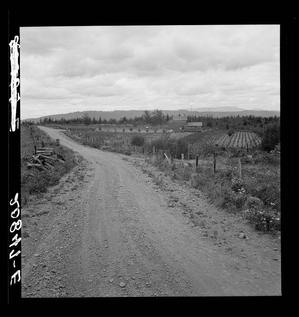 The image depicts a rural landscape featuring an unpaved dirt road running through the center. On either side of the road, there are rows of crops and vegetation indicative of agricultural activity. In the background, various structures can be seen, including what appears to be a barn or farmhouse with attached outbuildings. The sky is overcast, suggesting cloudy weather conditions.

The photo is in black and white, which gives it a timeless quality. There's some handwritten text on the left side of the image that seems like annotations or notes related to this specific photograph. In terms of geographical context, the note mentions "Another cut-over farm located across the road from Kytta place," suggesting that this location is part of a larger rural area with multiple farms.

The landscape has several notable features such as rolling hills in the distance, which are typical for certain regions like Michigan Hill mentioned on the annotation. This information implies the photo was taken within Western Washington or Thurston County region and could be associated with Dorothea Lange's body of work related to rural life during her time documenting American agriculture.

For a visually impaired user looking at this image using screen reader technology, it would describe:

"The photograph captures a dirt road winding through an agricultural landscape. On either side of the pa [...]