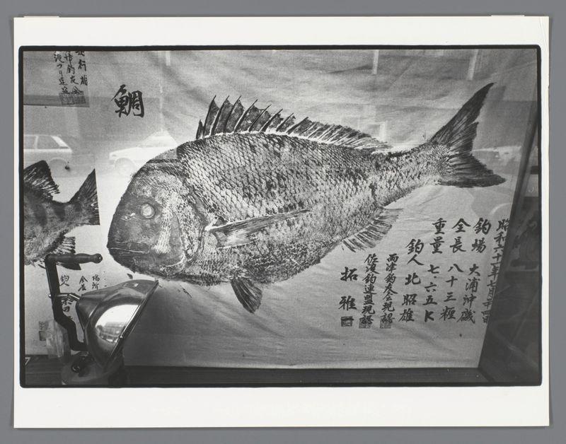 The image depicts a large fish with intricate details and textures in black and white, suggesting it is either an actual photograph or a stylized representation. The fish has prominent scales, fins, and eyes, giving it a lifelike appearance despite the lack of color contrast typically seen in such images.

In addition to the main subject, there are textual elements integrated into the image, which appear to be Japanese characters alongside some English script. These could represent titles or explanatory notes related to the fish. The composition includes other smaller figures and objects that may contribute context but their specific details aren't clear without further information.

The overall presentation indicates this might be part of a display in an exhibition setting, likely focusing on maritime themes given its thematic elements such as sailing boats represented by sails at the top right corner.