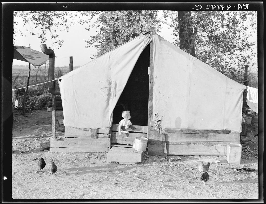 A black and white photograph depicts a temporary tent structure with an open entrance. Inside the opening, there is visible bedding material on a wooden platform or cot, suggesting it's being used as sheltered accommodation. The tent fabric appears worn at some points, indicating frequent use. Surrounding the tent are chickens pecking around on bare ground, hinting that this camp might be located in an agricultural area with available poultry. There is also debris scattered about and a makeshift wooden platform or stand to one side of the entrance.

Inside the opening under the shelter's roofline, there appears to be some form of furniture, possibly a table or other item not fully visible due to perspective. The overall condition suggests modest living conditions in an outdoor setting with basic amenities provided by handcrafted items and repurposed materials.