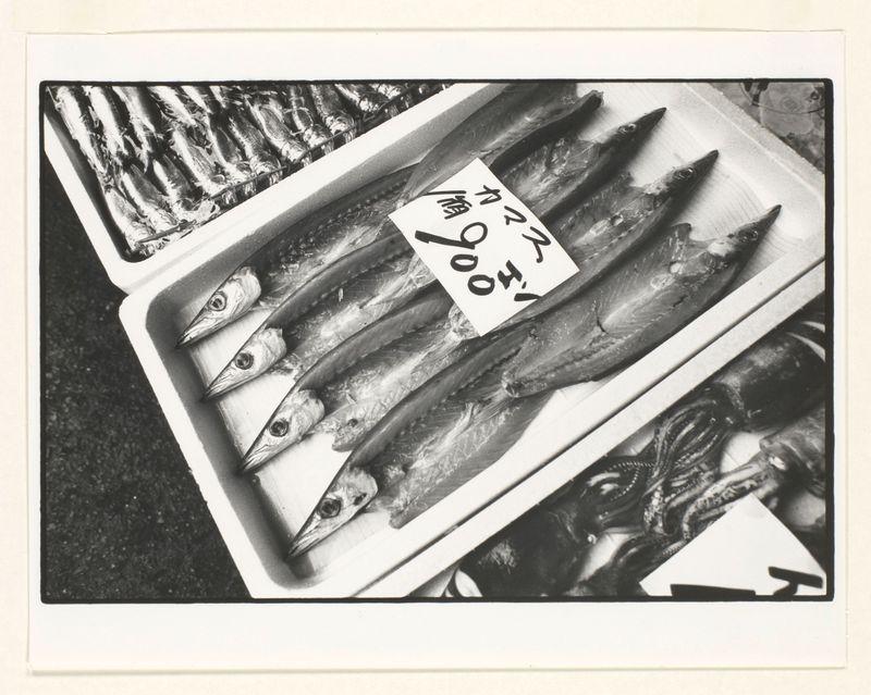 The image displays a black and white photograph of several fish, specifically Japanese barracuda or similar species, arranged on what appears to be ice within a tray. These fish are elongated with pointed snouts and large eyes, typical characteristics for this type of seafood. The focus is primarily on the freshness indicated by their placement in an icy environment which suggests they may have been recently caught.

In addition to the visual display of the fish, there's also text present that seems to be a label or note placed over them. It appears hand-written and contains both English numbers ("$90") and Japanese characters, likely indicating price information related to these seafood items. The background is indistinct but hints at additional seafood products which are not clearly discernible.

The overall composition of the photograph captures elements typical in markets where fresh fish would be sold, emphasizing the immediacy and quality of the product through its presentati