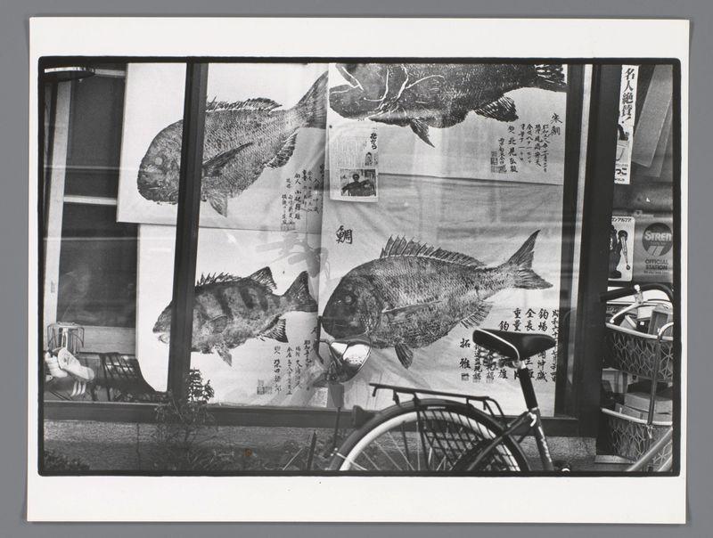The image features a black and white photographic print showing various illustrations of fish on what appears to be transparent, protective plastic sheets. These are attached or placed in the window of an establishment with signs suggesting it could be related to sushi or fish markets due to the prominent display of aquatic life. The top right corner shows text that seems Japanese, indicating a possible location within Japan.

A bicycle is partially visible at the bottom edge of the print; its presence suggests this photo was taken outdoors on a street where bicycles are commonly used for transportation. Various objects and elements in the background include what appears to be part of an air conditioning unit or heater, some unidentified items that could belong to passersby or establishment staff, and possibly furniture with patterned textiles.

The overall scene conveys daily life around this location, potentially capturing a moment from street photography where ordinary urban sce