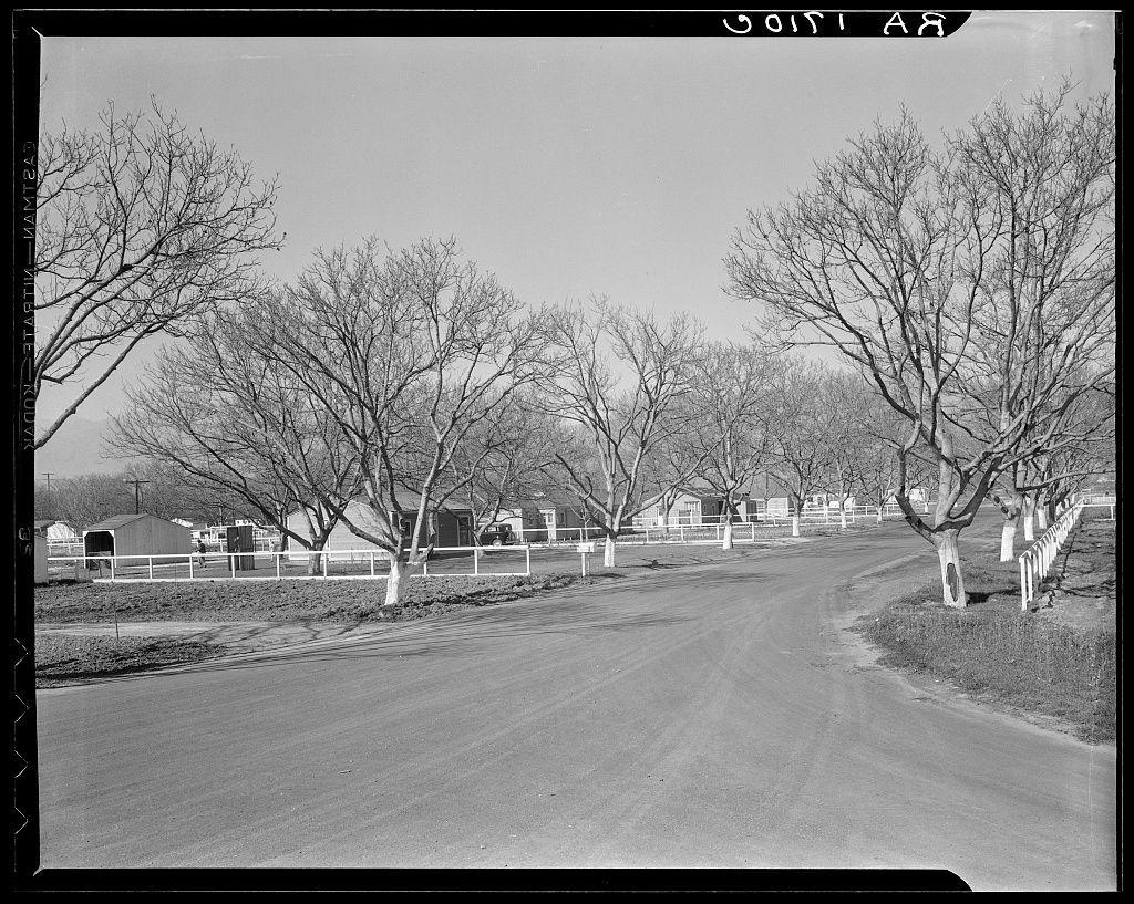 The image is a black and white photograph depicting a desolate rural landscape, characterized by its barren trees with no leaves suggesting it might be taken during the winter or early spring months. A dirt road meanders through what appears to be an empty settlement. On either side of the road are simple structures that resemble houses or sheds, with most being white with dark roofs and one larger structure in the background possibly a barn or garage with wooden siding. The homes appear modest and unadorned.

The surroundings feature dry grass fields extending into the distance where more similar buildings can be seen on both sides of the road. A wire fence runs parallel to the street, separating different parcels of land. There are no visible people in this scene; it conveys a sense of abandonment or isolation. The sky is clear and grayish-blue, adding to the bleak atmosphere.

The photograph seems historical given its black-and-white quality and style, suggesting that Dorothea Lange took it as part of her work documenting various aspects of American life during the early 20th century.