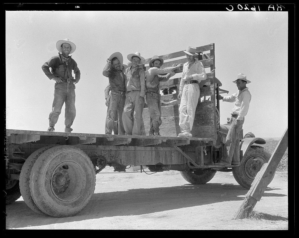 The image shows a group of five individuals on the back of a flatbed truck, with four standing and one seated. They are dressed in work attire typical for laborers or farmers during an earlier era, including hats, boots, rolled-up sleeves, and overalls; some wear bandanas around their necks. The setting appears to be a dry field under bright sunlight, suggesting outdoor agricultural activity. One person is extending his arm towards the ground beside him while standing on one leg atop the truck's bed. Another individual stands with hands placed on hips, facing forward, looking off into the distance or at something outside of the frame. There are tools and equipment visible around them, indicating they may be involved in farming or agricultural work. The photograph is monochromatic and has a grainy texture typical of older black-and-white photography.