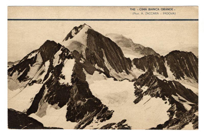 The image displays a black and white photograph of the "Cima Bianca Grande" mountain range, as indicated by text at the top. The mountains have sharp peaks with significant snow coverage on their slopes, suggesting that they are located in an alpine or glacial environment. The photo appears to be vintage based on its monochromatic nature and style, possibly a historical postcard from Padova, captured by A. Zaccaria according to additional text present at the top right corner of the image.

The mountains rise majestically against what seems like a clear sky with faint outlines suggesting distant mountain ranges or clouds in the background. The snow on the peaks is well-lit and contrasts sharply with the darker tones of the rocky surfaces, highlighting the rugged terrain typical of high-altitude glaciers or mountaintops.

Below this photograph are parts of another image that could be related to a different subject but aren't fully visible due to cropping. This suggests that the photo