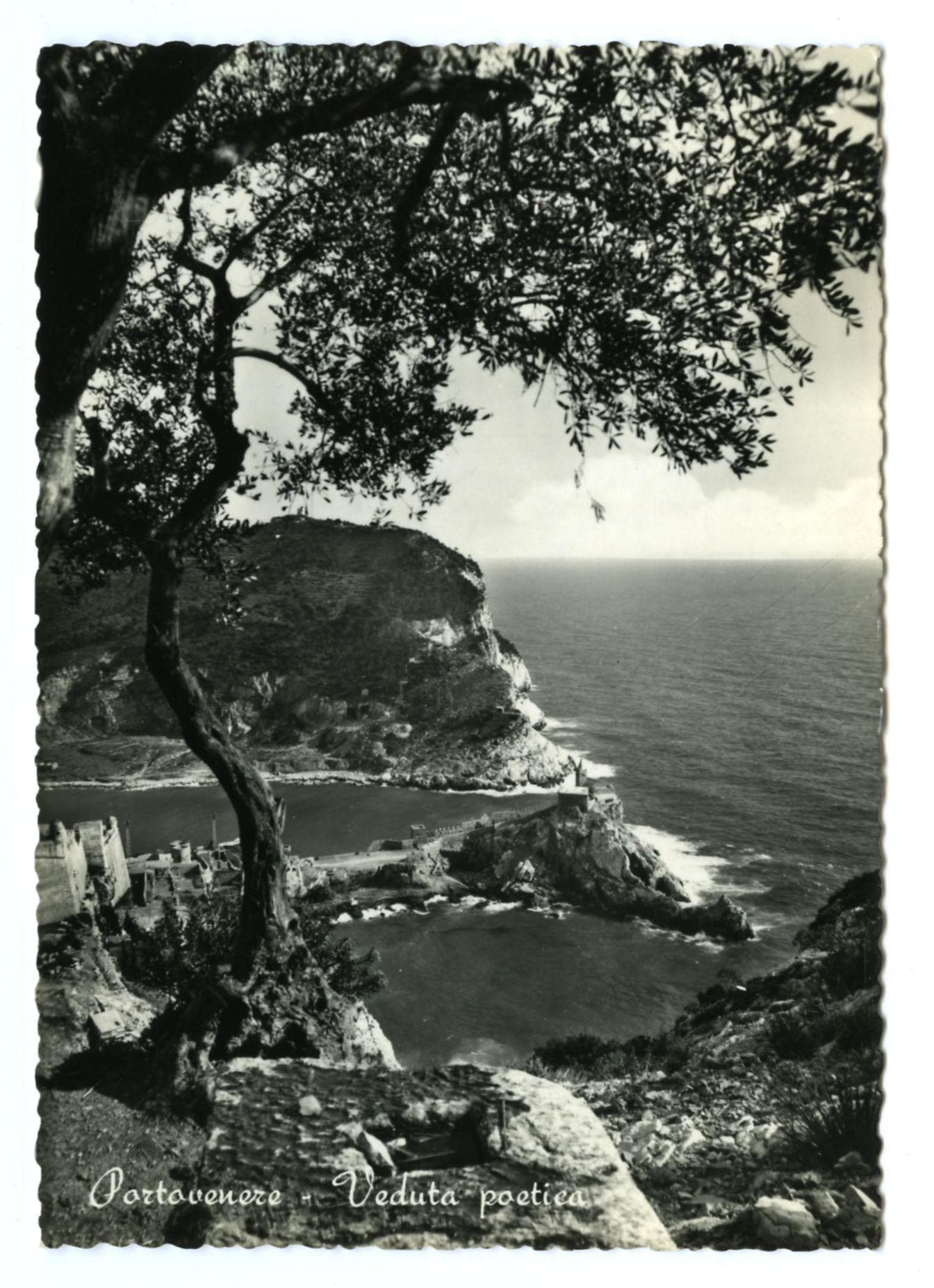 The black and white photograph captures a coastal scene overlooking the sea. Prominent on both sides of the image are rocky cliffs with vegetation, possibly trees or shrubs, that add texture to the landscape. A large tree branch extends from the top left corner towards the center, creating an intricate pattern against the sky.

In the foreground, there is what appears to be a rough terrain covered in earth and sparse plants. To the right of this rocky area lies calm sea waters with visible waves crashing into jagged rocks protruding above the waterline. The middle ground shows more cliffs leading down towards the shore where buildings or structures are faintly discernible.

The central focus is on a deep, dark body of water surrounded by these cliffs and ledges that create a natural amphitheater effect for viewing the sea below. Above this coastal area, there's an expansive view of the ocean extending to the horizon with no visible landmasses in sight apart from those in the foregr